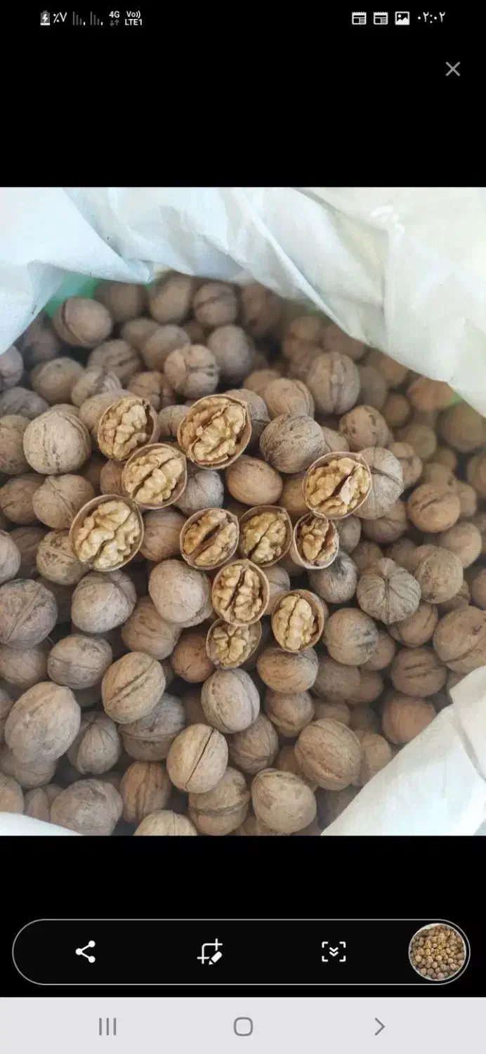 گردودشتک|خوردنی و آشامیدنی|شیراز, حومه شیراز|دیوار