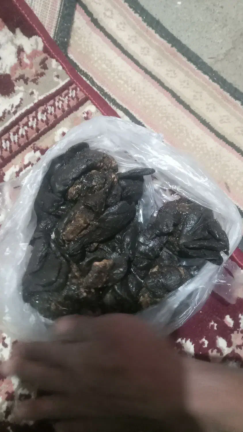 مومنایی درجه یک رسید|آرایشی، بهداشتی، درمانی|جیرفت, |دیوار