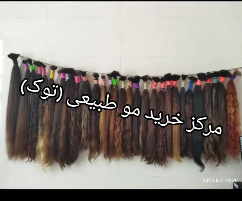 خریدار اصل مو میلیونی (توک ) تنها یک شعبه|خدمات آرایشگری و زیبایی|زنجان, |دیوار