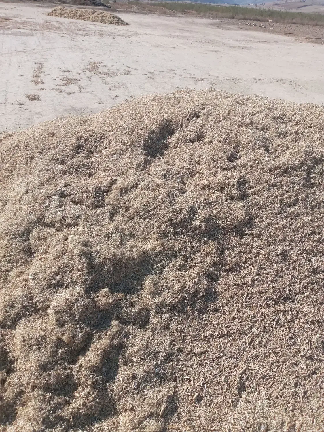 کاه لوبیاچیتی و سفیدفروشی|لوازم جانبی حیوانات|کلاله, |دیوار