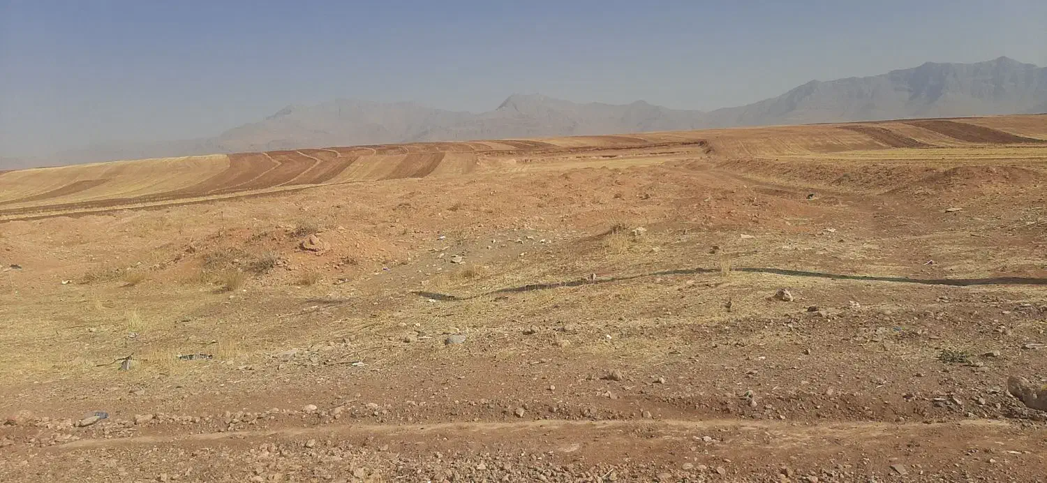 فروش زمین|فروش دفتر صنعتی، کشاورزی، تجاری|نورآباد, |دیوار