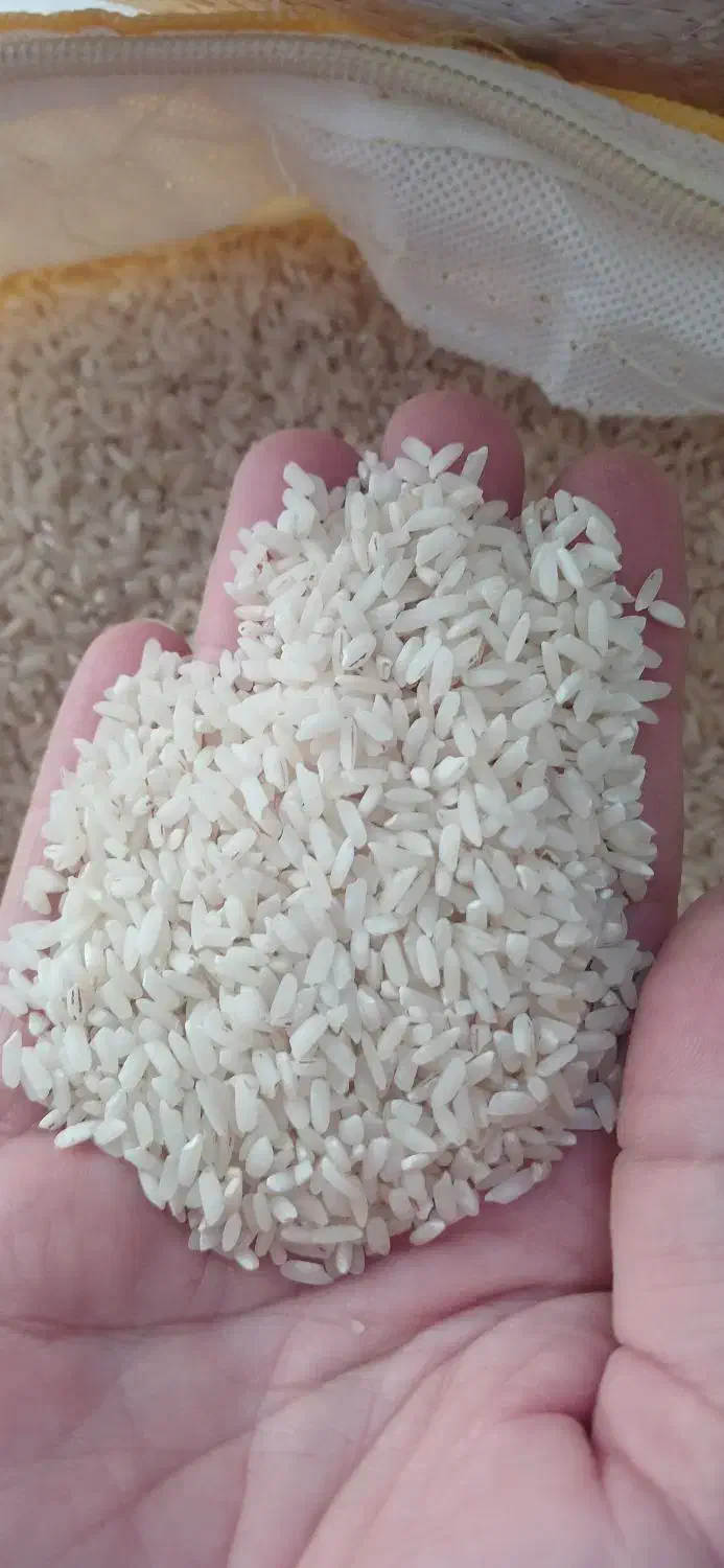 برنج عنبر بو درجه یک دره شهر چمکلان|خوردنی و آشامیدنی|دره شهر, |دیوار