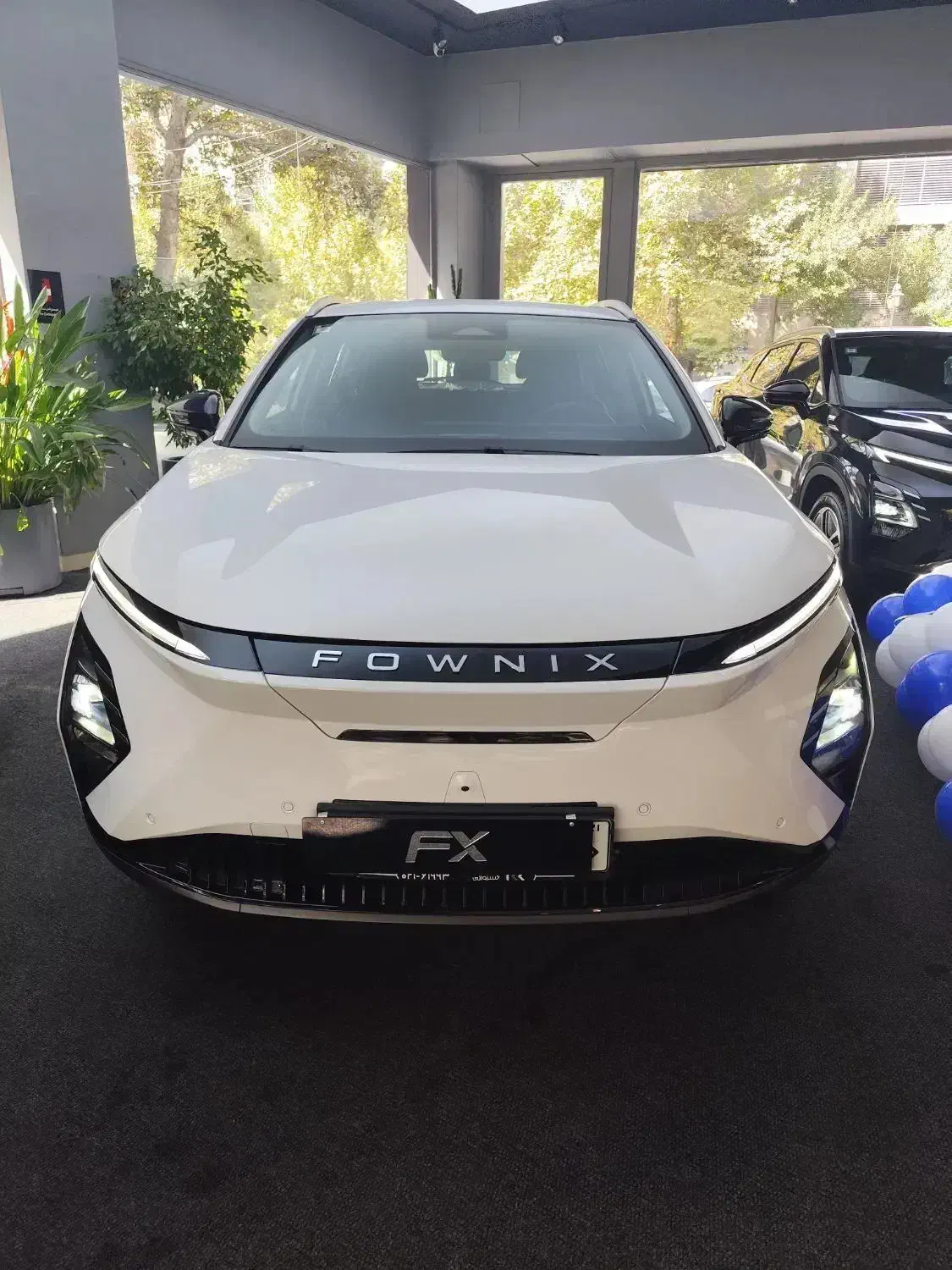 فونیکس FX EV اف ایکس برقی|خودرو سواری و وانت|تهران, الهیه|دیوار