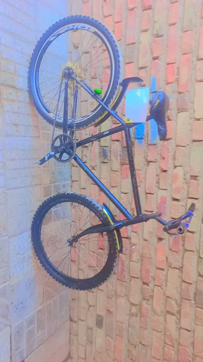 دوچرخه|دوچرخه، اسکیت، اسکوتر|ایرندگان, |دیوار