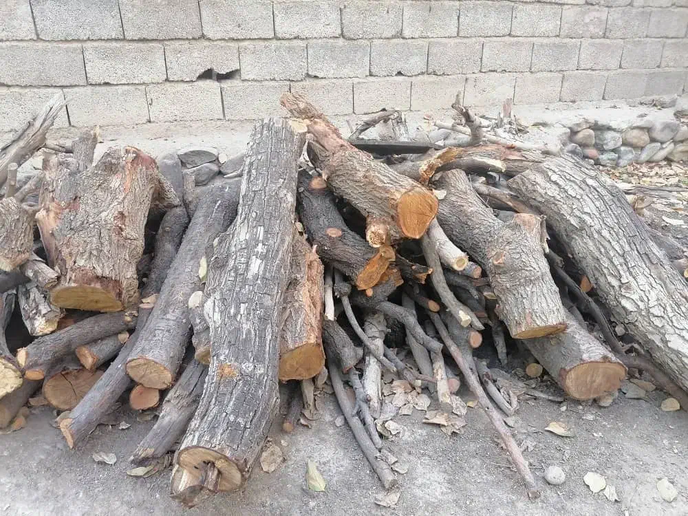 خریدار چوب همه نوع|خدمات باغبانی و درختکاری|تهران, دهکده المپیک|دیوار