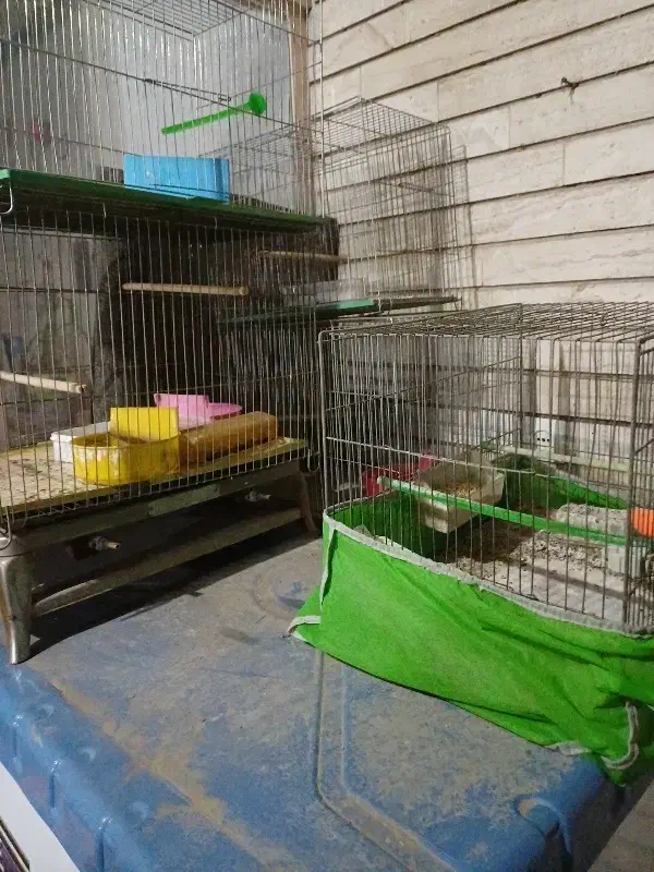 قفس قناری سالم|لوازم جانبی حیوانات|اصفهان, پوریای ولی|دیوار