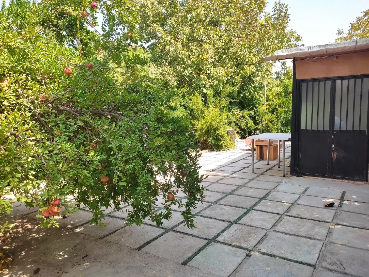 منزل مبله ویلایی لوکس ستارخان قدوسی|اجارهٔ کوتاهمدت ویلا و باغ|شیراز, تلخ داش|دیوار