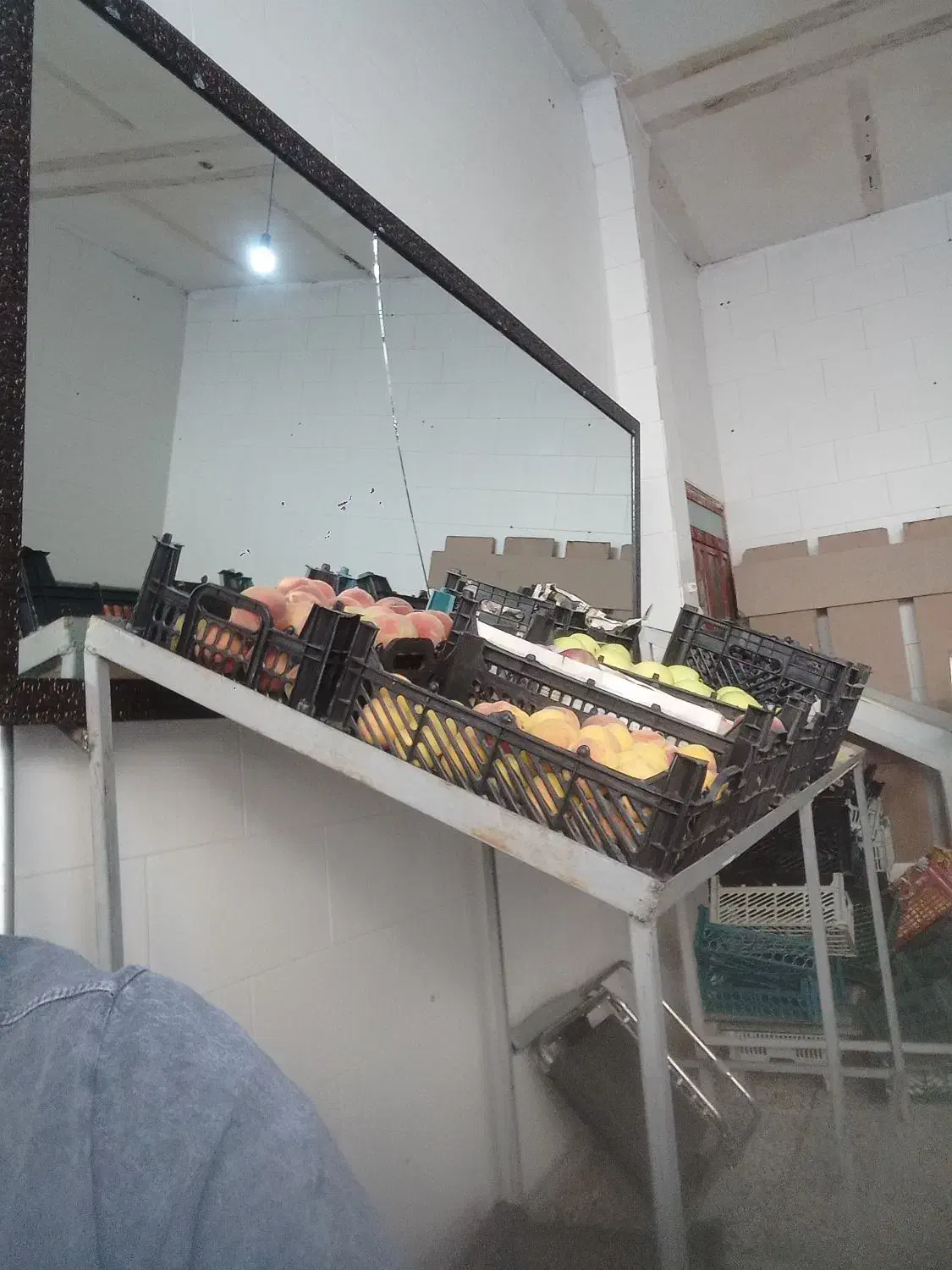 وسایل میوه فروشی|فروشگاه و مغازه|جوانرود, |دیوار