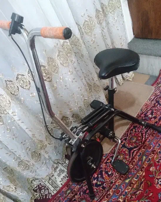 دوچرخه ثابت ورزشی|تجهیزات ورزشی|اصفهان, نقش جهان|دیوار