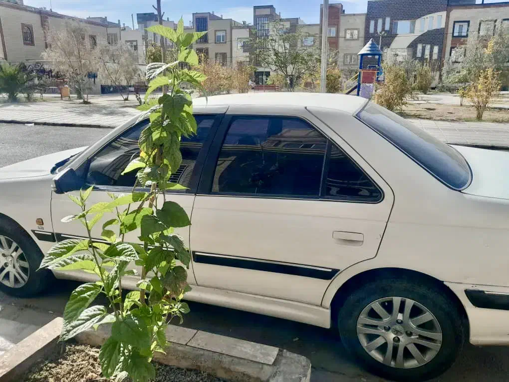 پارس تی یو فایو ۹۸|خودرو سواری و وانت|چابهار, |دیوار