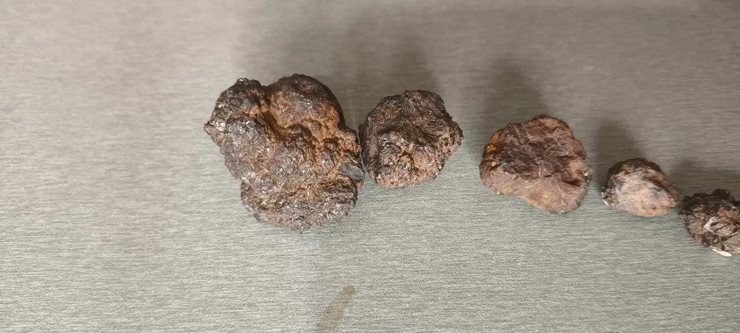 شهاب سنگ|کلکسیون اشیاء عتیقه|دامغان, |دیوار