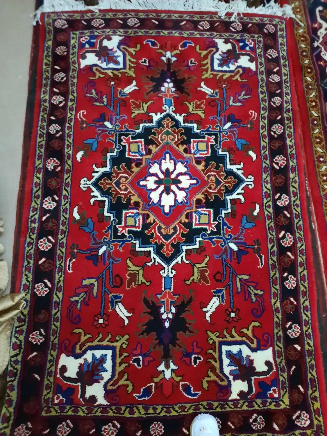 فرش زرنیم|فرش|تبریز, |دیوار