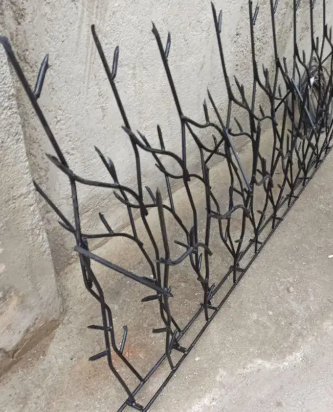 ساخت ونصب شاخ گوزنی|خدمات پیشه و مهارت|محمدیه-قزوین, |دیوار