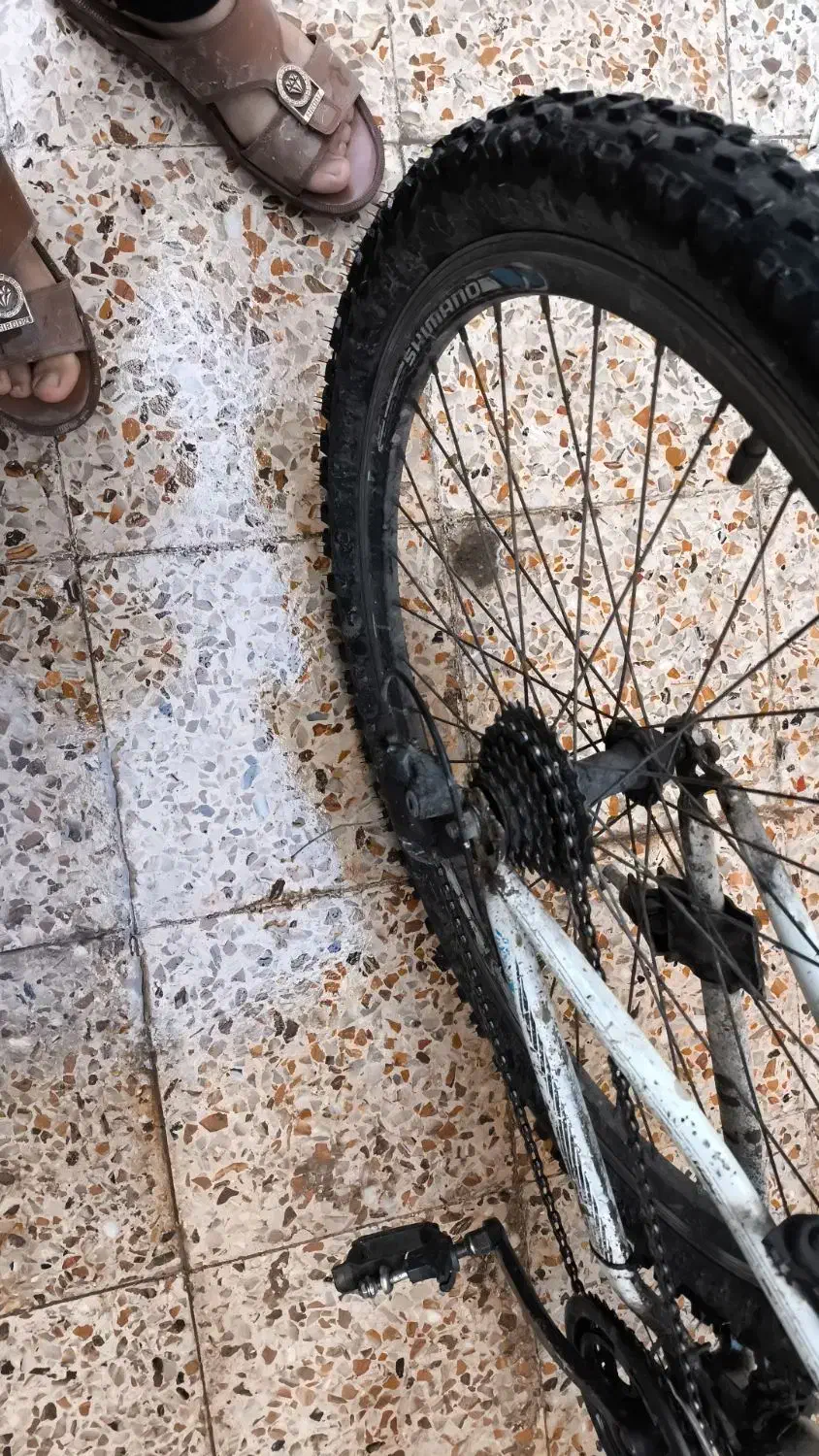 دوچرخه ویسا ۲۶|دوچرخه، اسکیت، اسکوتر|بندر ماهشهر, |دیوار