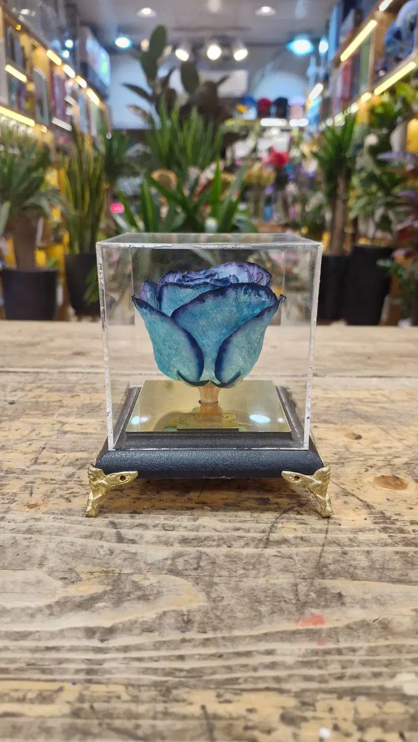 گل روز جاودان|گل مصنوعی|مشهد, آزادشهر|دیوار