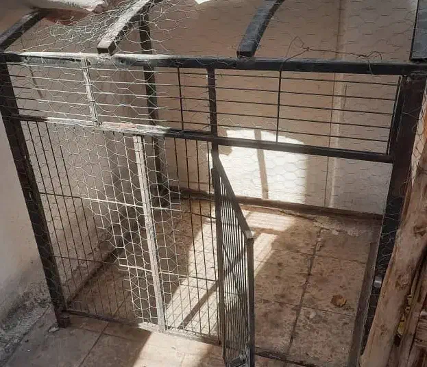 قفس پرنده|لوازم جانبی حیوانات|فردیس, قریشی|دیوار