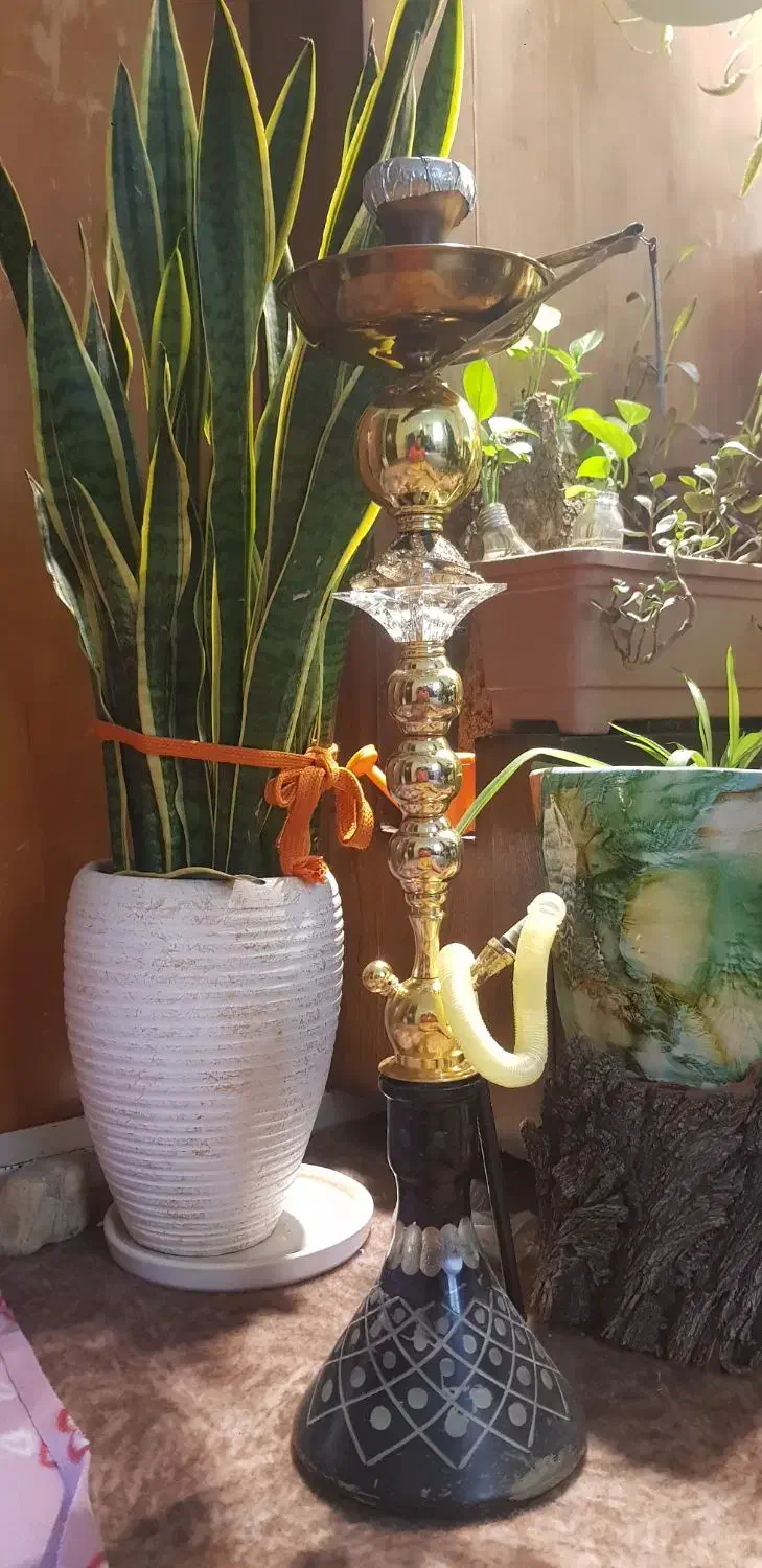 قلیان|زیورآلات و اکسسوری|تهران, عبدلآباد|دیوار