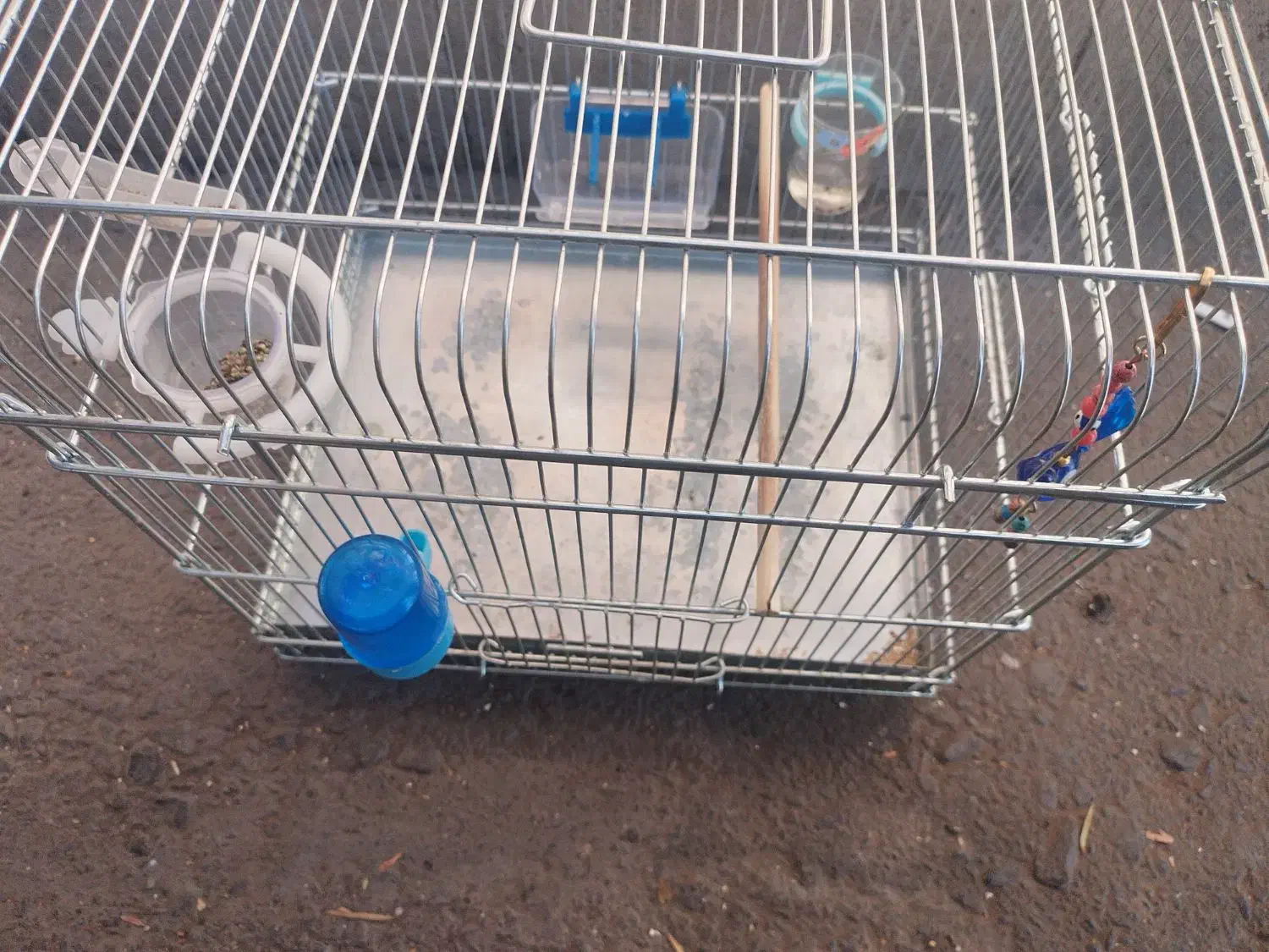 قفس سهره یا سقا|لوازم جانبی حیوانات|کرمان, |دیوار