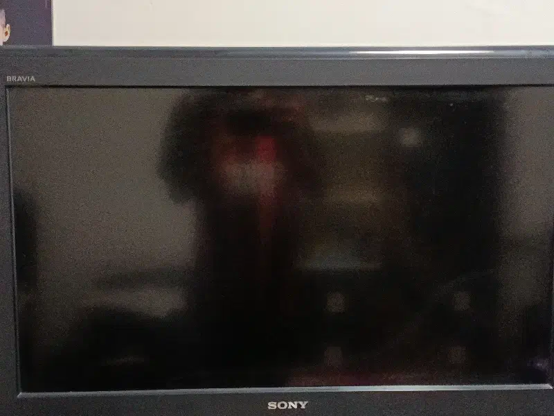 تلویزیون|تلویزیون و پروژکتور|دوگنبدان, |دیوار