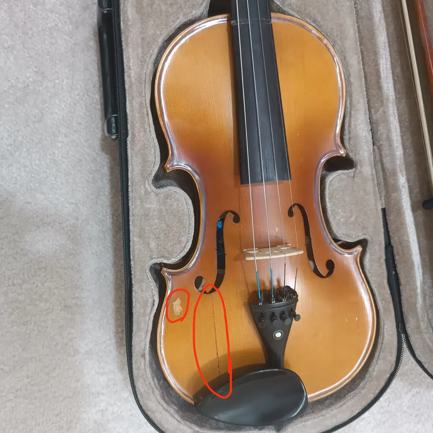 ویولون tf146|ویولن|نیشابور, هفده شهریور|دیوار