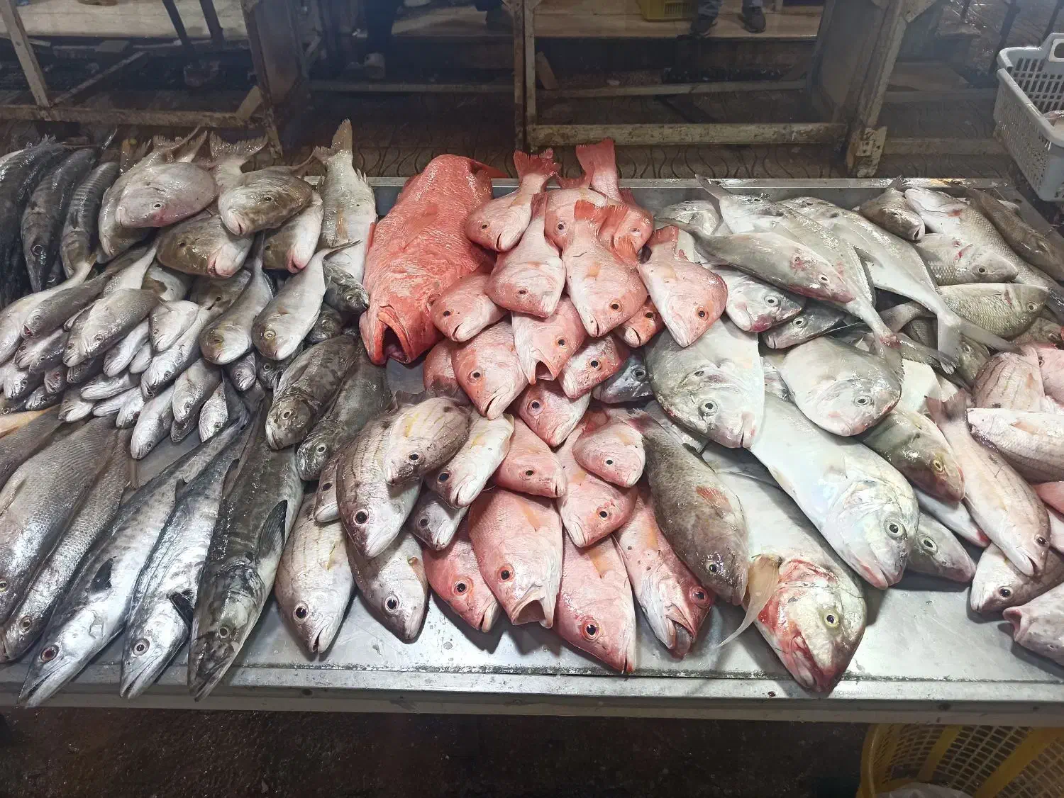 فروش ماهی و میگو|خوردنی و آشامیدنی|تهران, سهروردی|دیوار