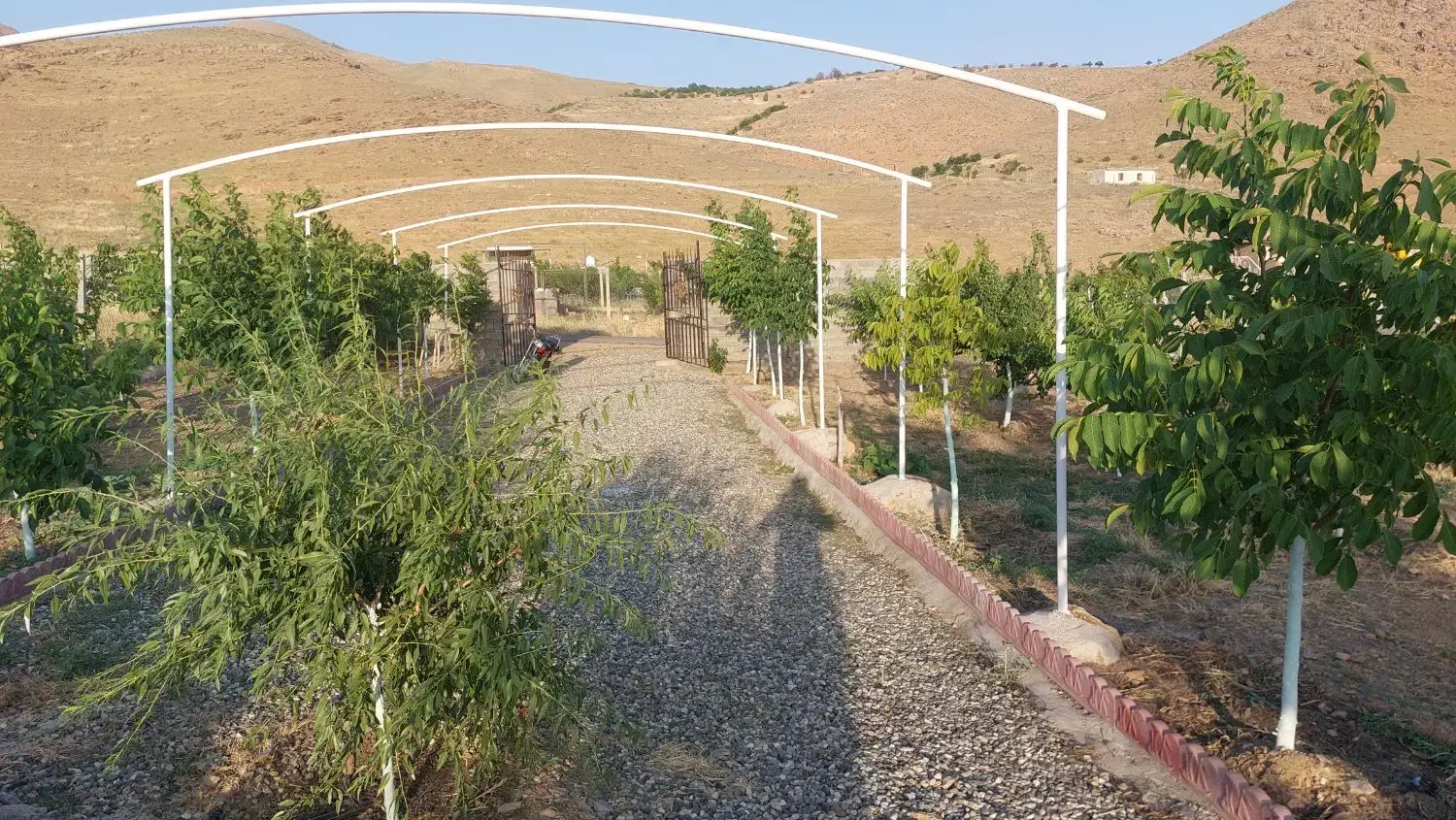 باغ|فروش دفتر صنعتی، کشاورزی، تجاری|دورود, |دیوار