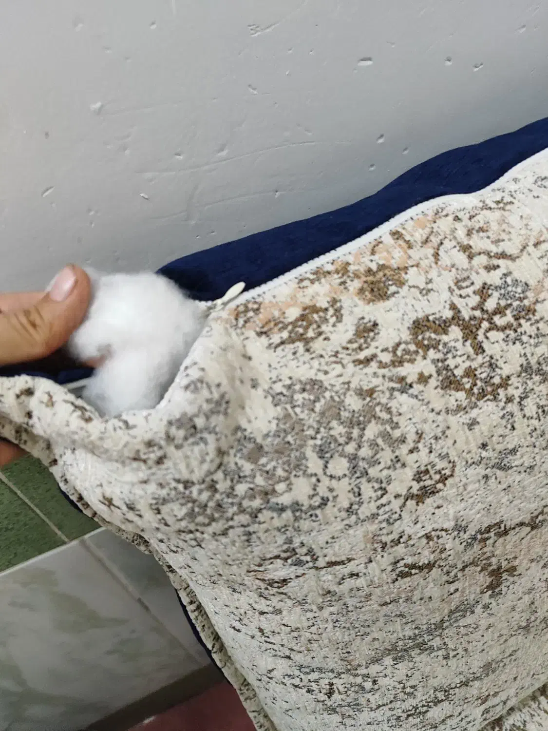 بالش|رختخواب، بالش، پتو|قم, نیروگاه|دیوار