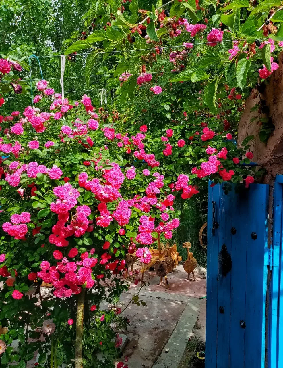 بساز بفروش-ها به گوش-باشن|مشارکت در ساخت املاک|مشگین شهر, |دیوار