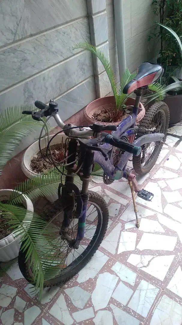 فروش دوچرخه|دوچرخه، اسکیت، اسکوتر|امیرکلا, |دیوار