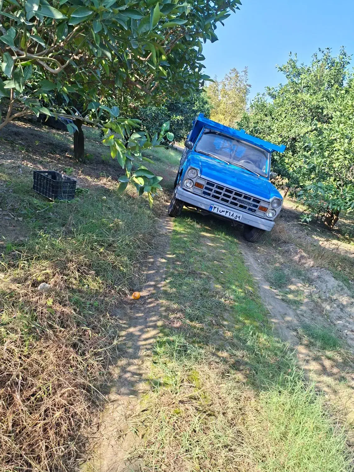 فروشی|خودرو سواری و وانت|گرگان, |دیوار