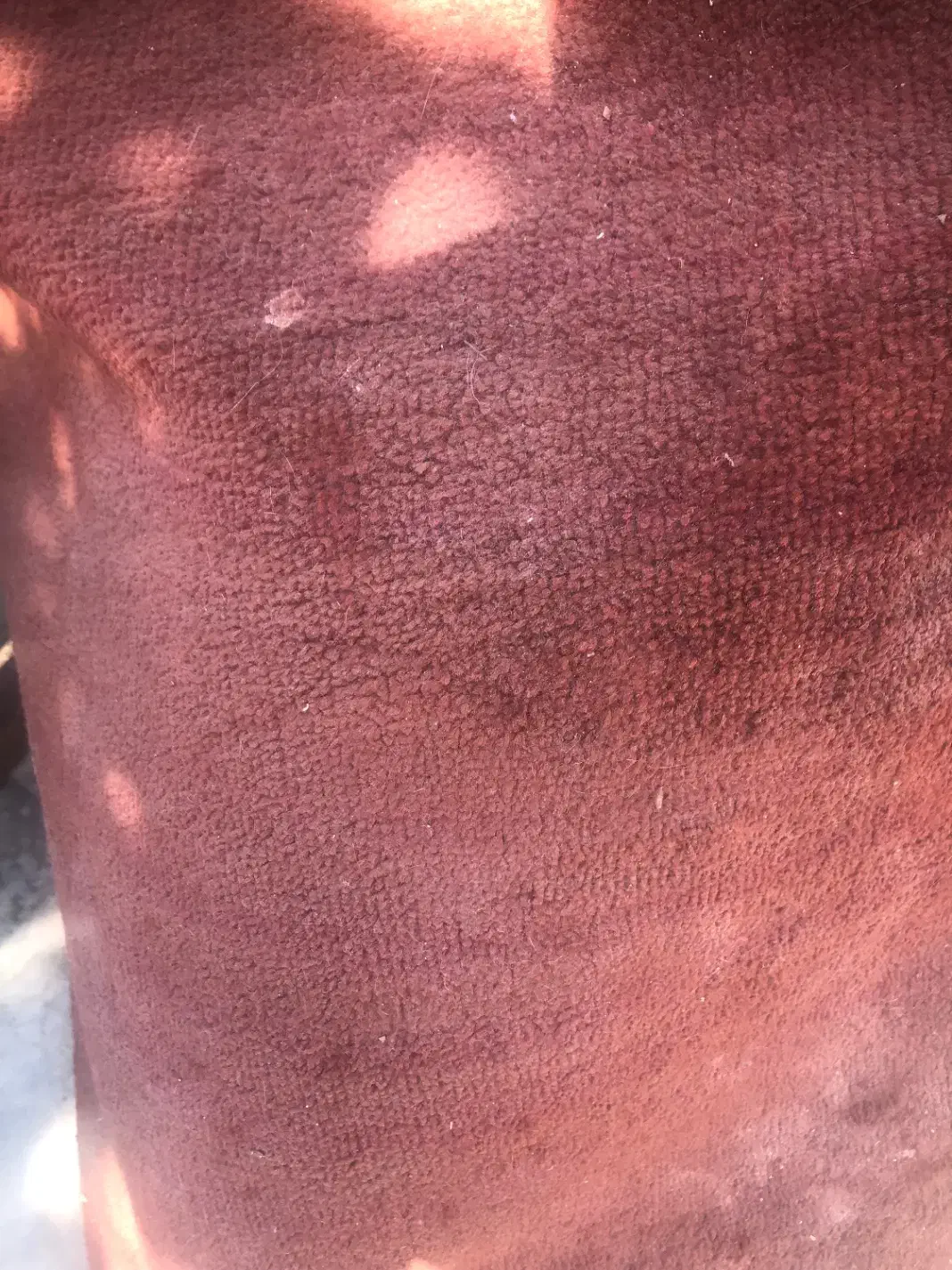 تعدادی موکت اکباتان|موکت|اصفهان, خواجو|دیوار