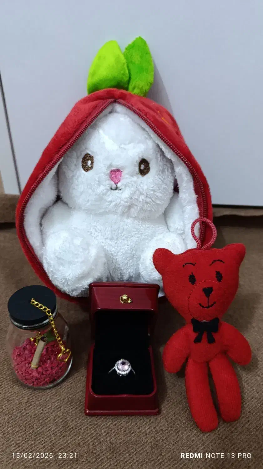 اکسسوری|زیورآلات و اکسسوری|مشهد, امیرآباد|دیوار