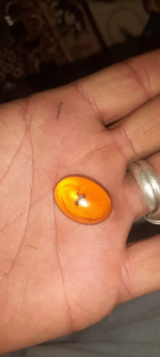 نگین انگشتر کهربا|جواهرات|اردبیل, |دیوار