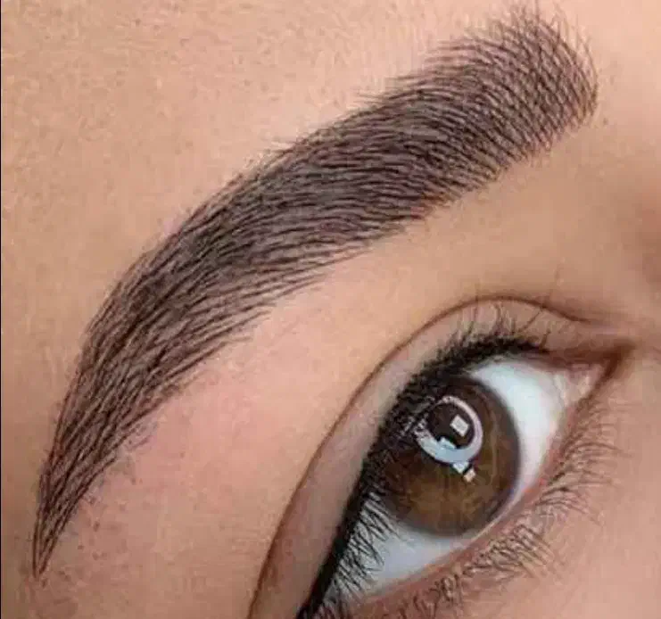 آرایش دائم جدیدترین تکنیک های روز ۱۴ مدل ابرو|خدمات آرایشگری و زیبایی|بناب, |دیوار