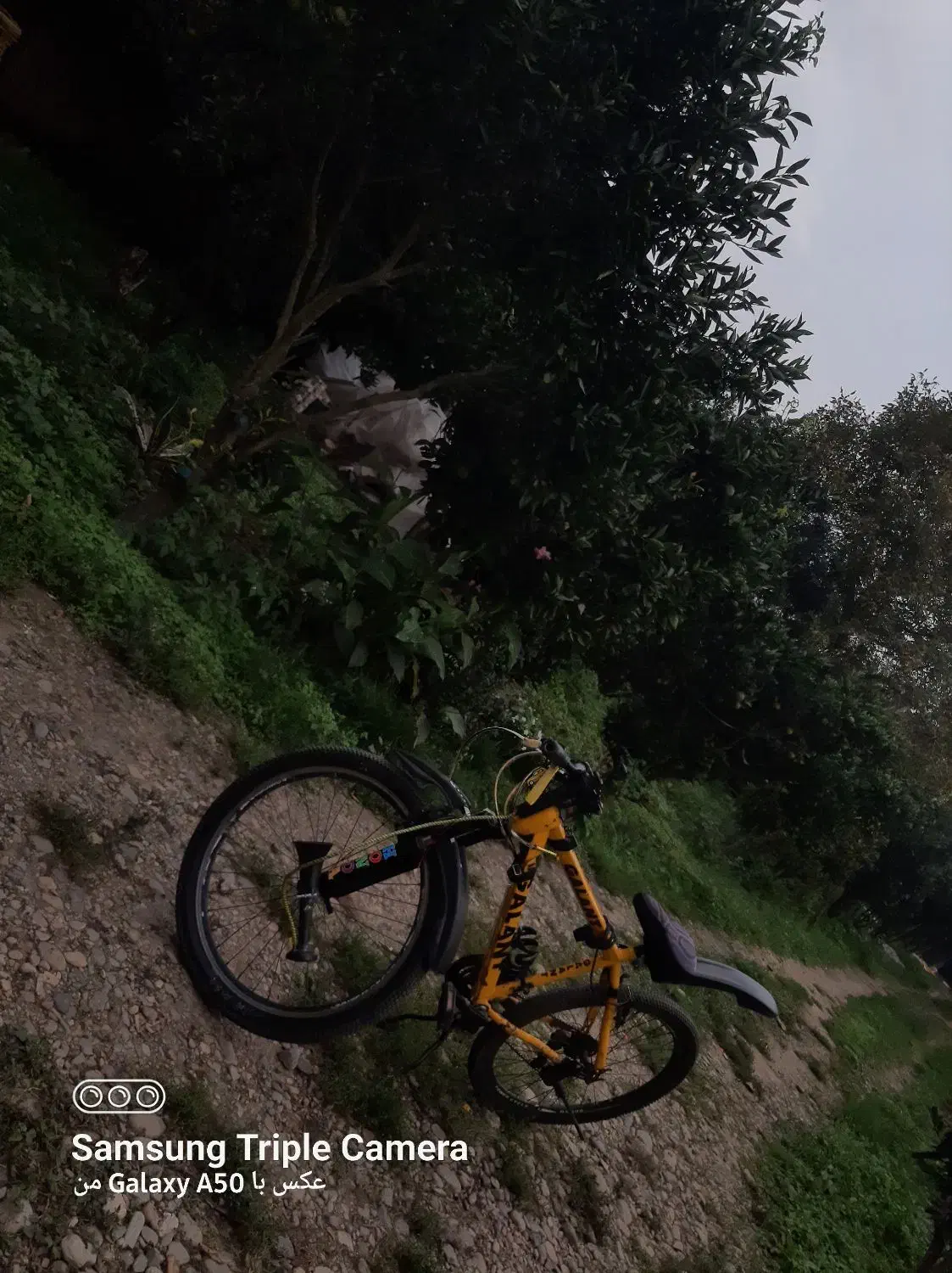 دوچرخه سایز ۲۶ برند گالانت|دوچرخه، اسکیت، اسکوتر|طاهرگوراب, |دیوار