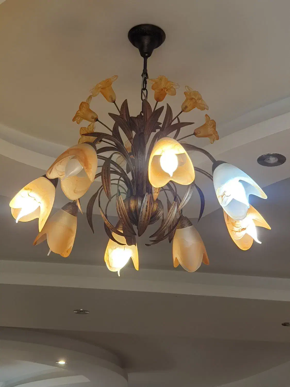 لوستر ۸ شاخه و ۳ شاخه|لوستر و چراغ آویز|رشت, کاکتوس|دیوار