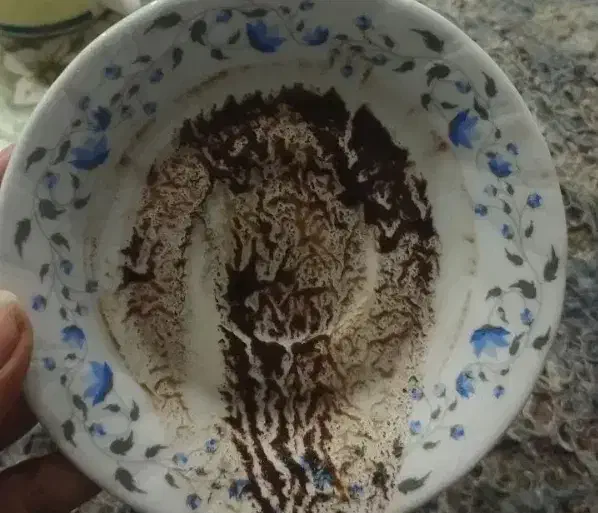 فال و آموزش فال کلی|خدمات پذیرایی، مراسم|اردبیل, |دیوار