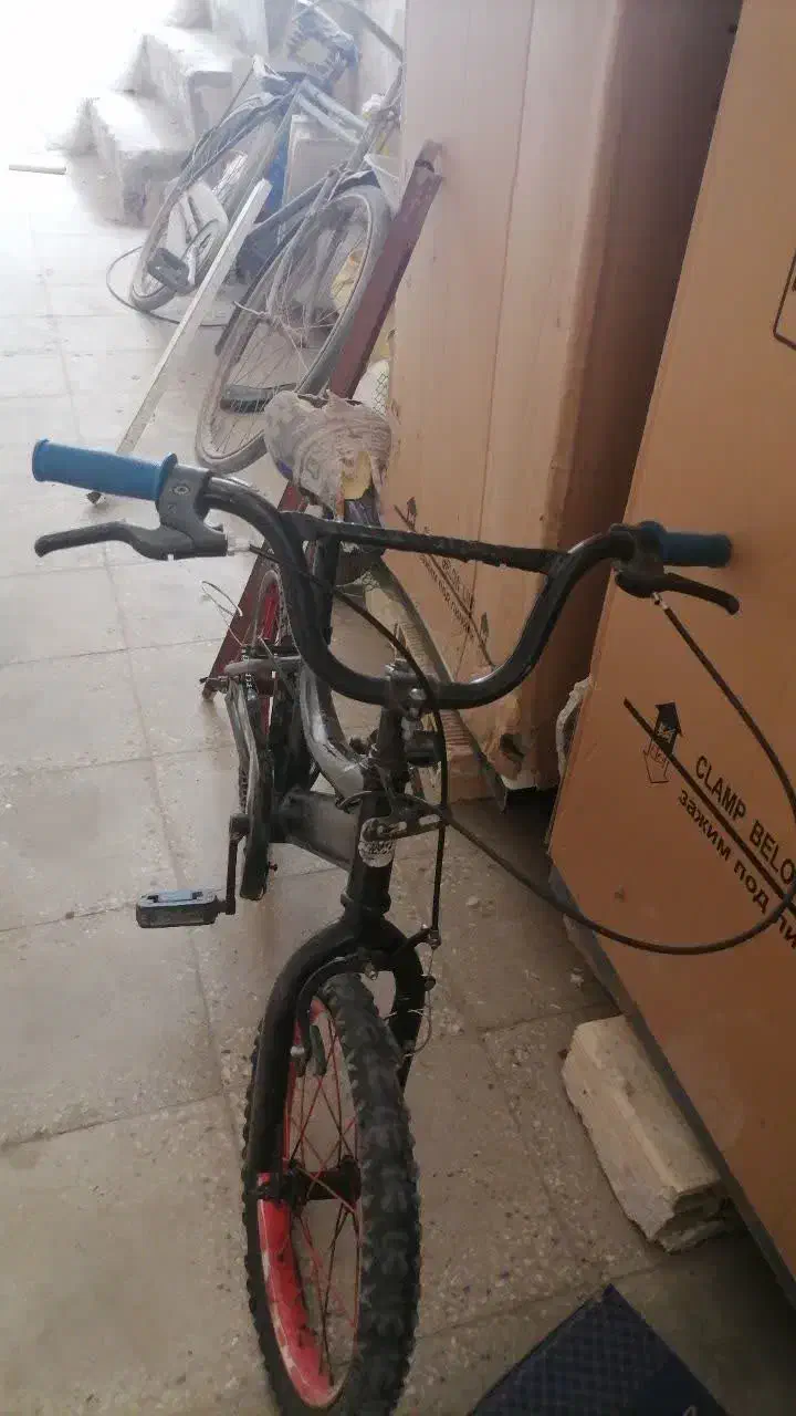 دوچرخه|دوچرخه، اسکیت، اسکوتر|آران و بیدگل, |دیوار