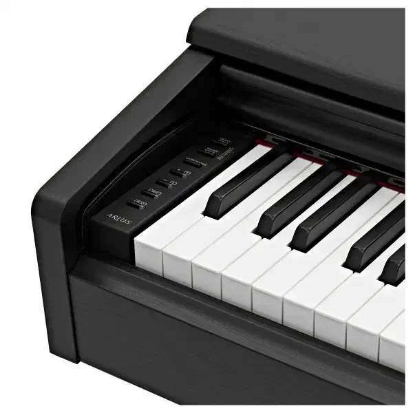 کد۸۸۷۸  Ydp145 Yamaha|پیانو، کیبورد، آکاردئون|تهران, آبشار|دیوار
