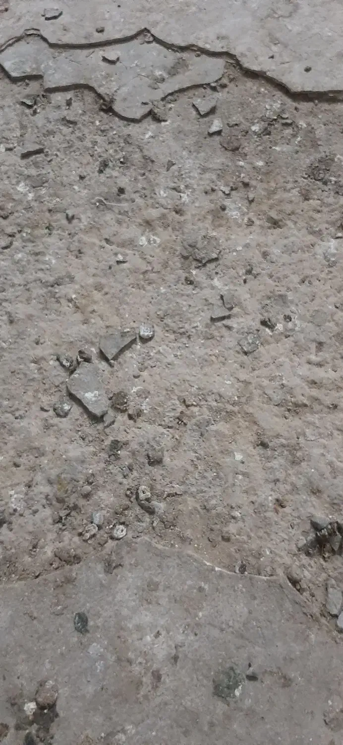 مقداری مدارک پیدا شده با دادن نشانی و مژدگانی|اشیا|مشهد, بهمن|دیوار