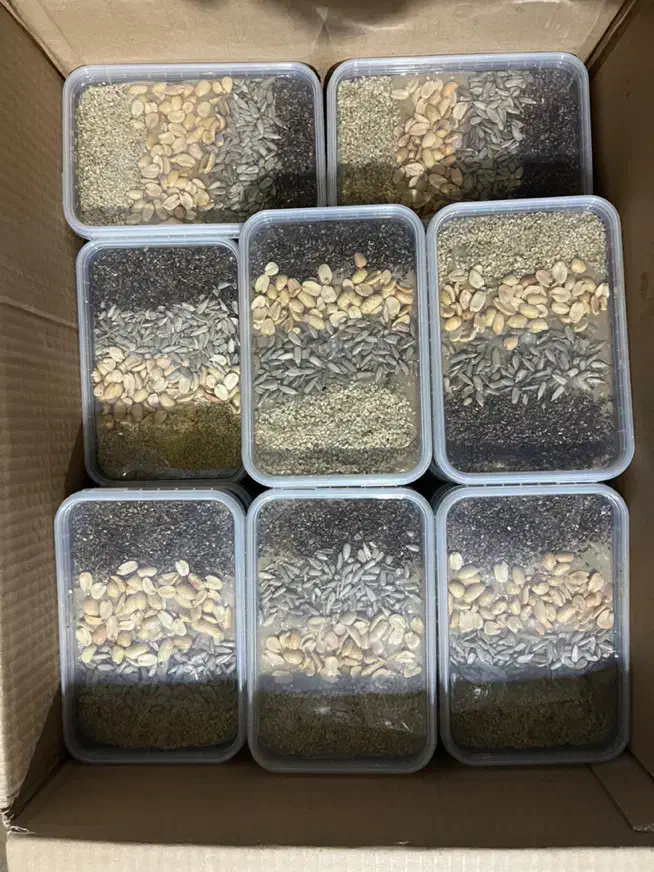 معجون ۸۰۰ گرم|عمدهفروشی|اردکان, |دیوار