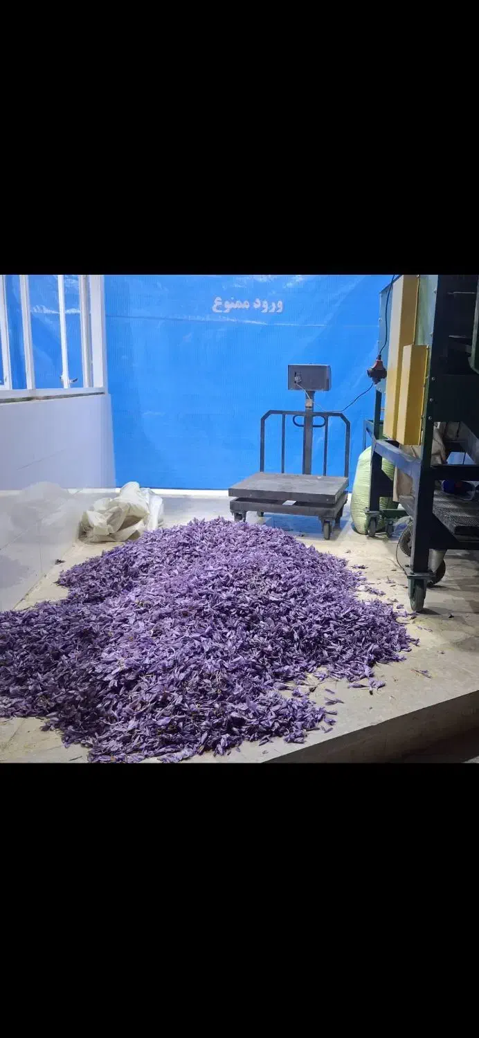 پایگاه گل زعفران|خوردنی و آشامیدنی|سرایان, |دیوار