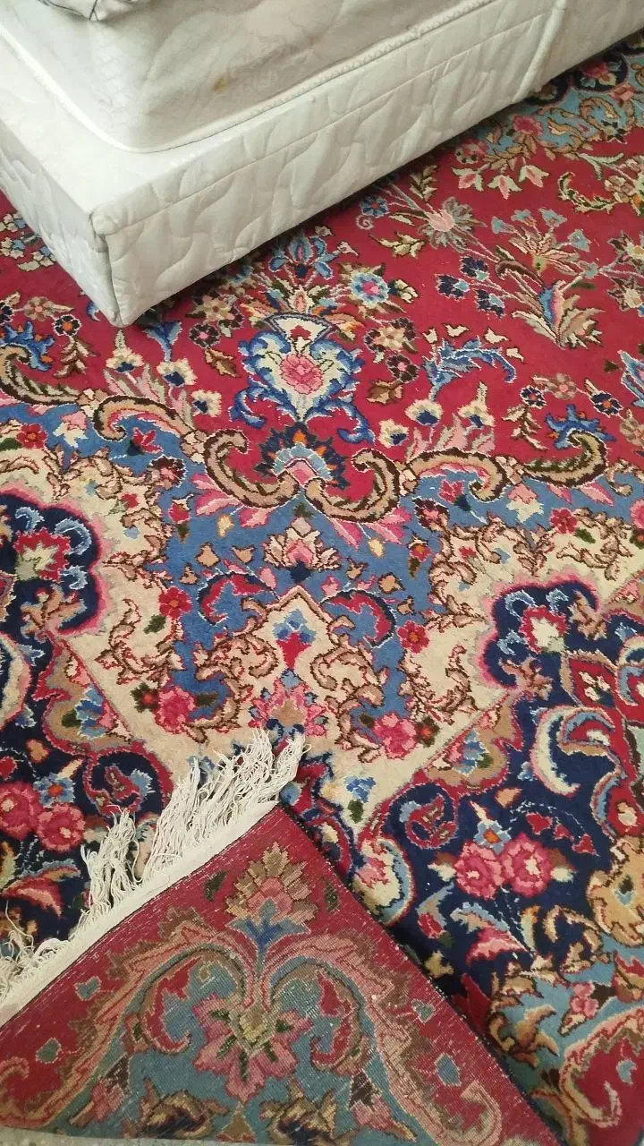 فرش دستبافت ۱۲|فرش|سمنان, |دیوار