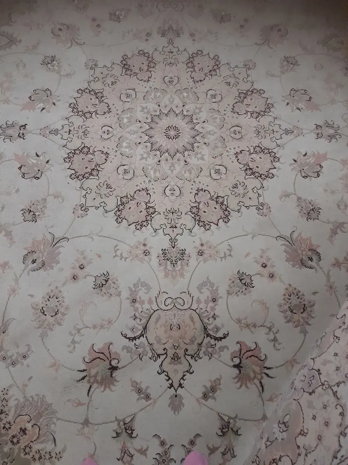 فرش کرم رنگ ۶متری|فرش|رشت, کوی مهر|دیوار