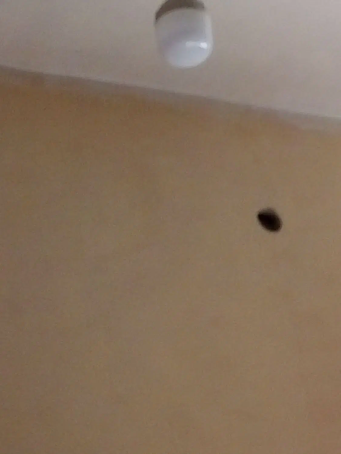 چراغ شارژی هندیجان|لامپ و چراغ|هندیجان, |دیوار