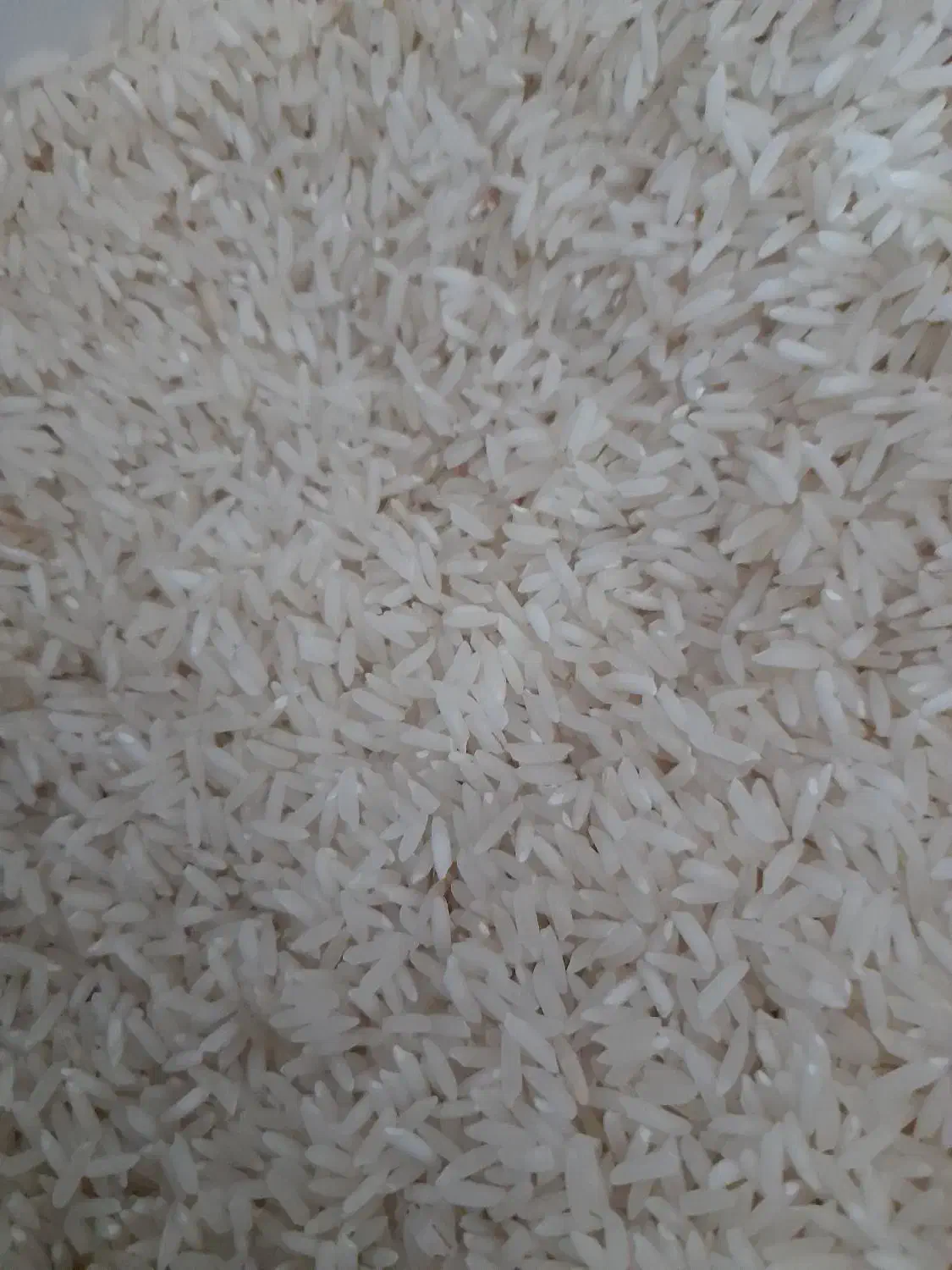 برنج شمیم|خوردنی و آشامیدنی|دهدشت, |دیوار