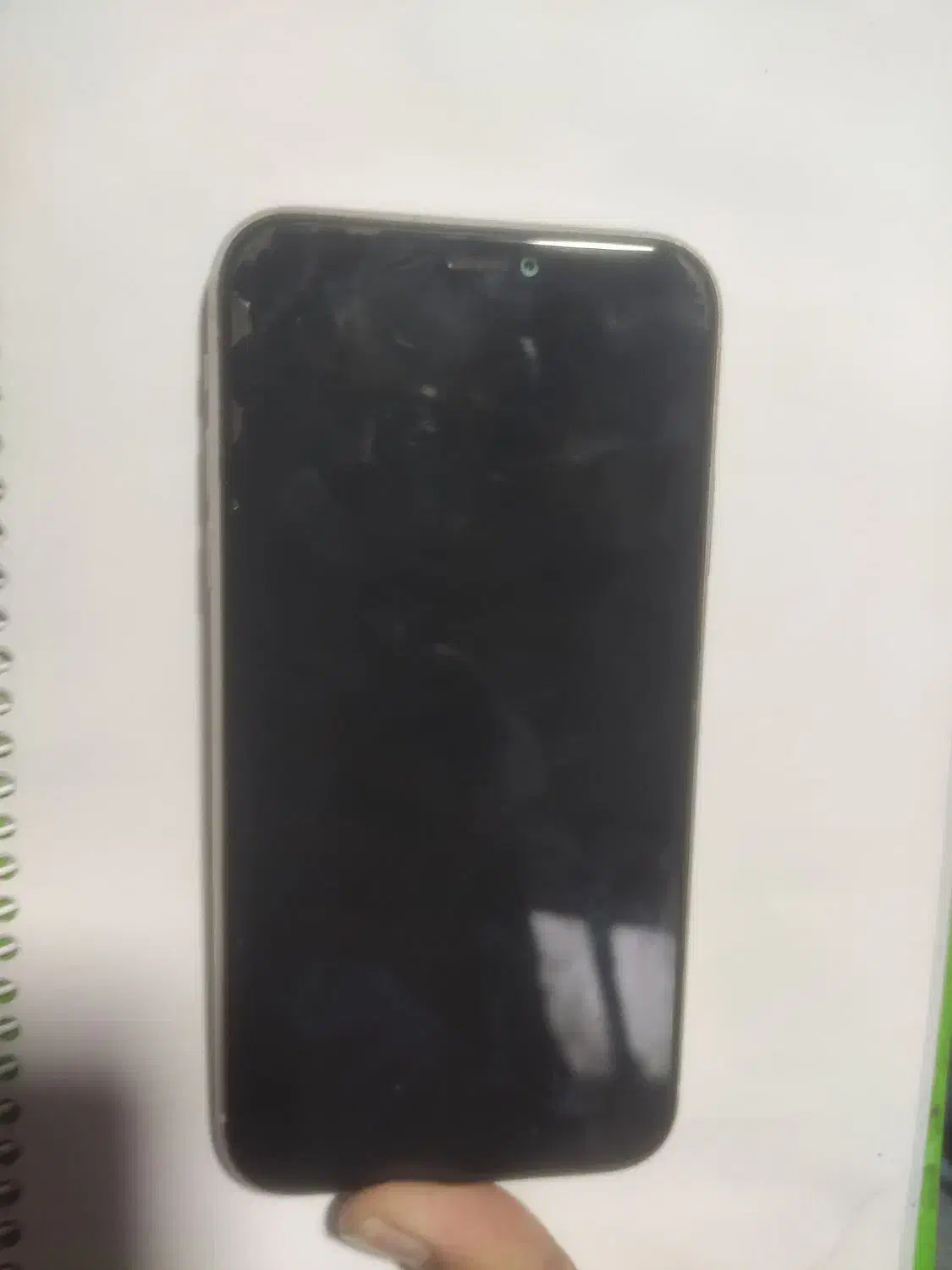 گوشی آیفون یازده|موبایل|رشت, کاکتوس|دیوار