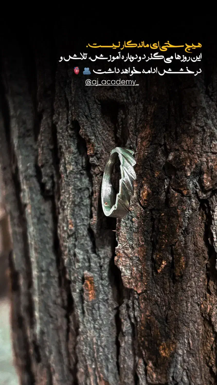 آکادمی تخصصی طلاسازی عاج اصفهان|خدمات آموزشی|اصفهان, سروستان|دیوار