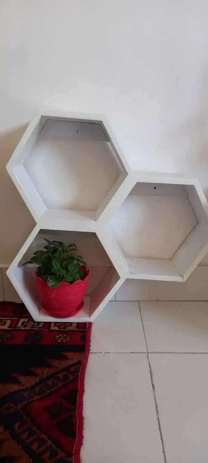 استند دیواری|کتابخانه، شلف، قفسه‌های دیواری|تبریز, |دیوار