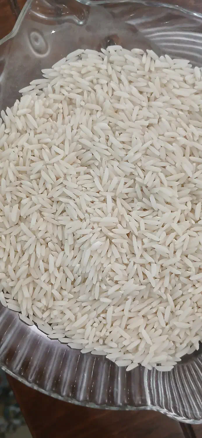 برنج هاشمی|خوردنی و آشامیدنی|رشت, باهنر|دیوار